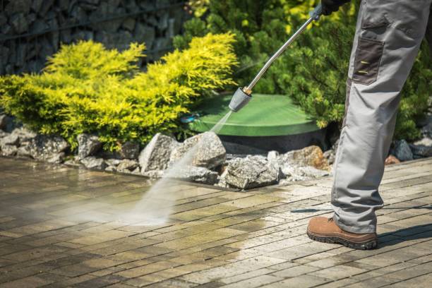 Best Sidewalk and Walkway Cleaning  in Stoughton, WI